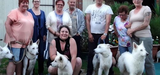 Gründungsversammlung ZGBBS