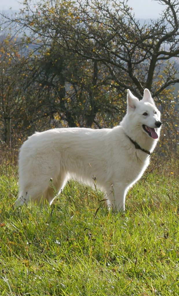 Eowyn of Dwarfy's Treasury