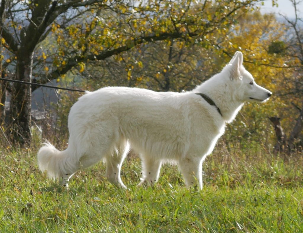 Eowyn of Dwarfy's Treasury