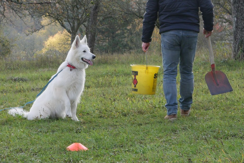 Freya vom Pilsensee SUKI