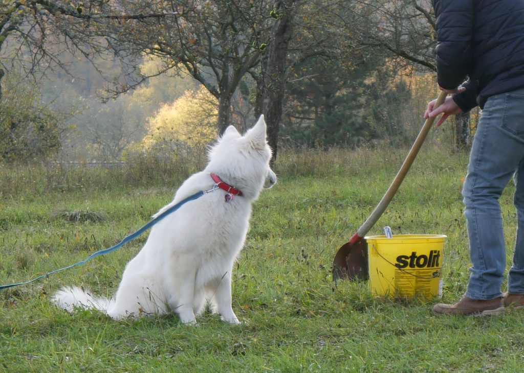 Freya vom Pilsensee SUKI